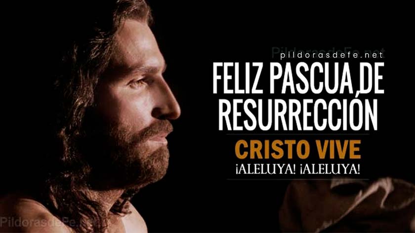 domingo de pascual feliz domingo de resurreccion cristo ha resucitado vive