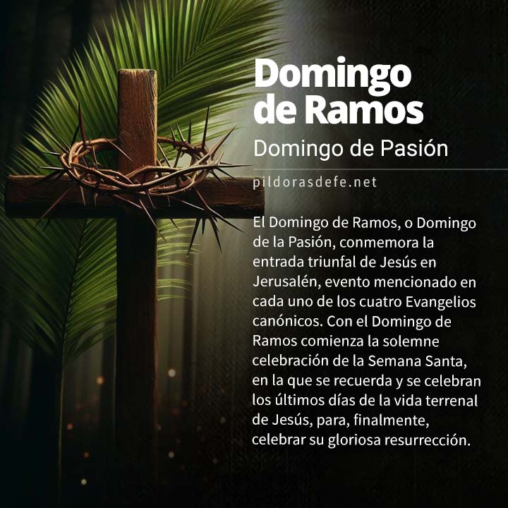 Celebración del Domingo de Ramos, o Domingo de la Pasión del Señor