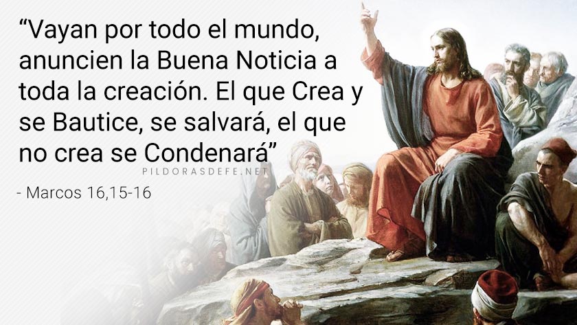 el que crea y se bautice se salvara el que no crea se condenara evangelio de hoy mc   