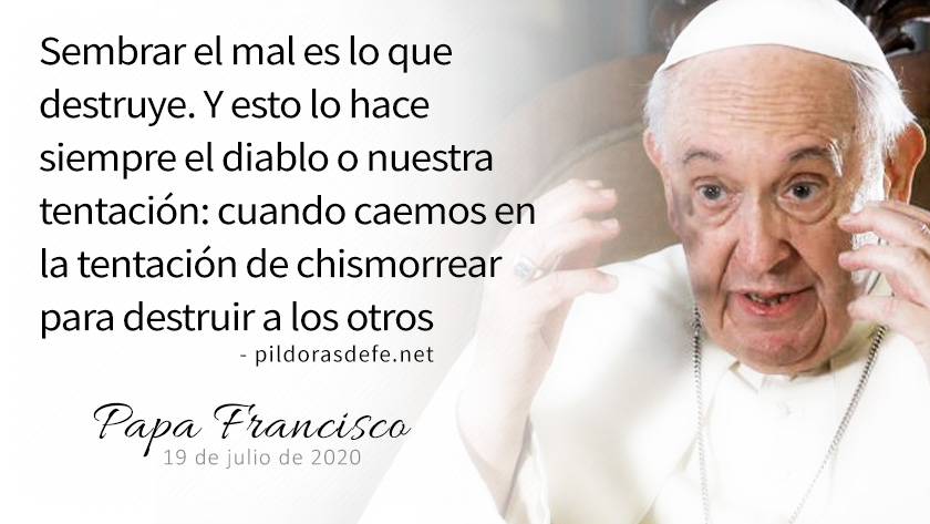 evangelio de hoy  agosto  lecturas del dia reflexion del papa francisco