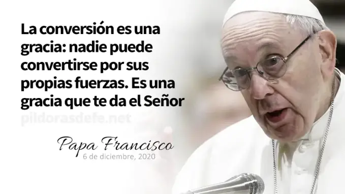 evangelio de hoy domingo  diciembre  lecturas del dia reflexion con el papa francisco