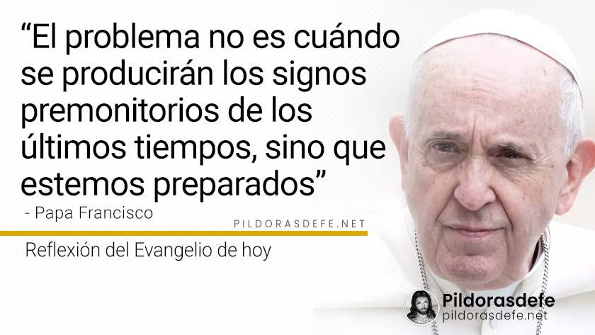 evangelio de hoy domingo  noviembre  lecturas reflexion papa francisco palabra diaria
