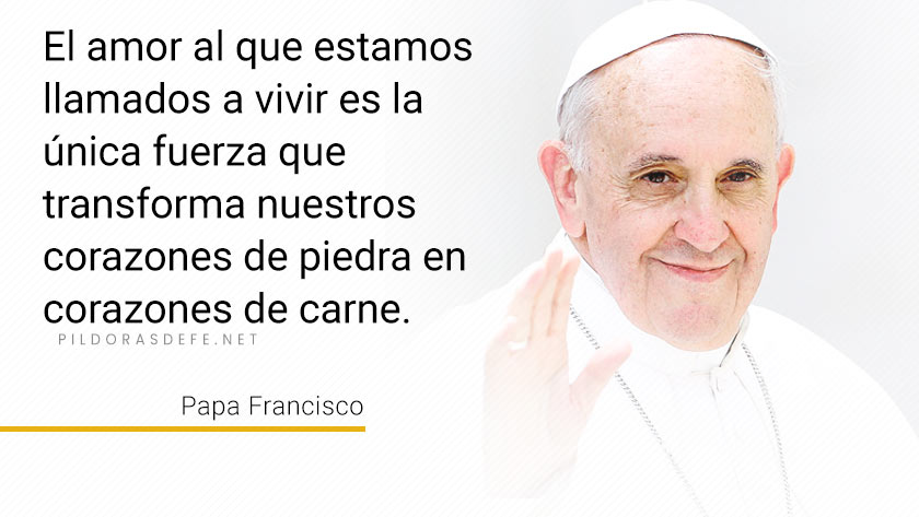 evangelio de hoy domingo  mayo  lecturas del dia reflexion papa francisco palabra diaria