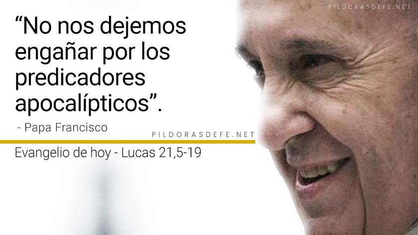 evangelio de hoy domingo  noviembre  lecturas reflexion papa francisco palabra diaria
