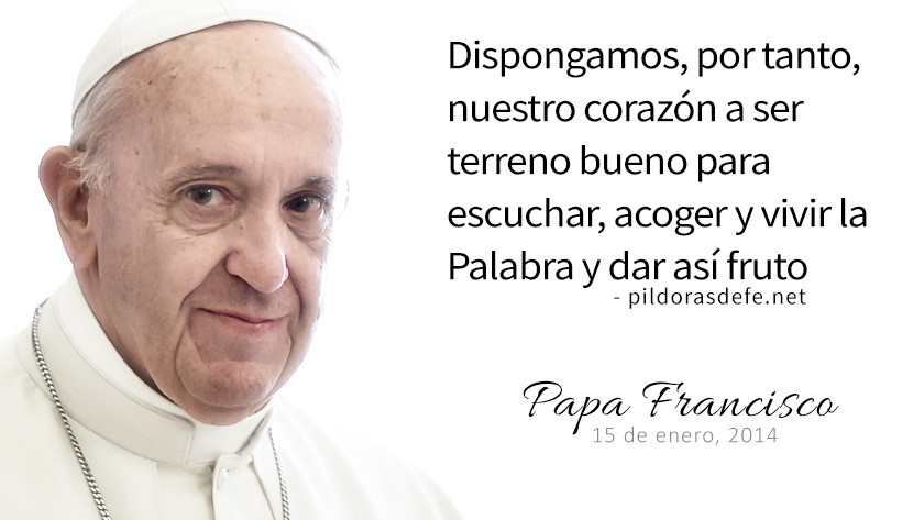 evangelio de hoy domingo  junio  lecturas del dia reflexion del papa francisco