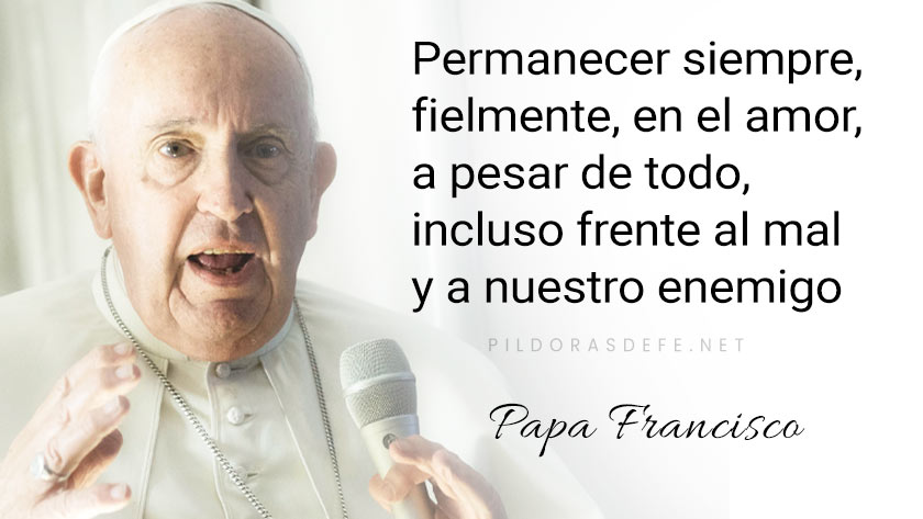 evangelio de hoy domingo  febrero  lecturas del dia reflexion papa francisco