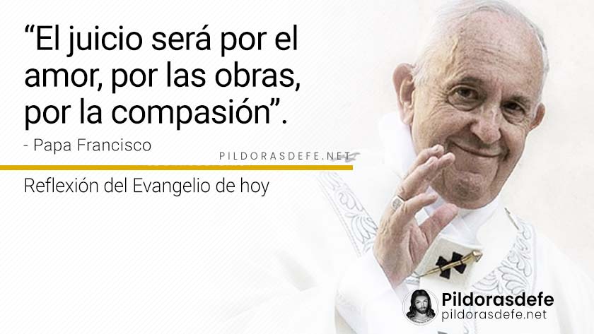 evangelio de hoy domingo  noviembre  lecturas reflexion papa francisco palabra diaria