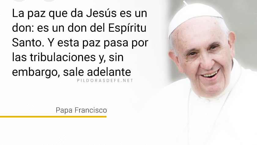 evangelio de hoy domingo  mayo  lecturas del dia reflexion papa francisco palabra diaria
