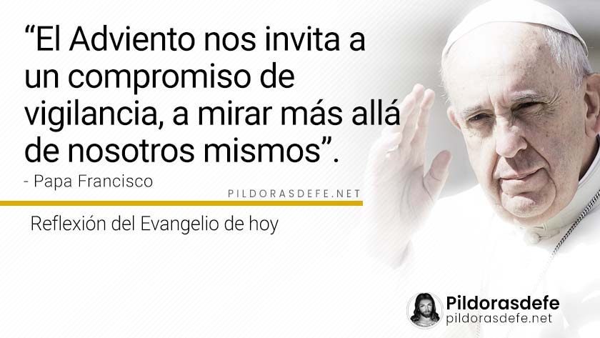 evangelio de hoy domingo  noviembre  lecturas reflexion papa francisco palabra diaria