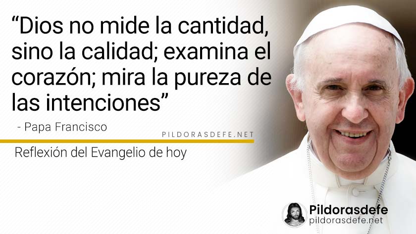 evangelio de hoy domingo  noviembre  lecturas reflexion papa francisco palabra diaria
