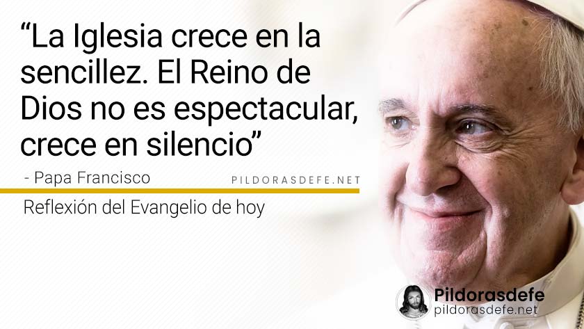 evangelio de hoy jueves  noviembre  lecturas reflexion papa francisco palabra diaria