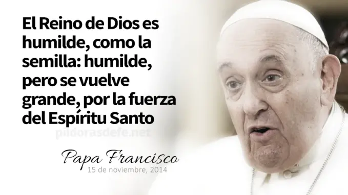 evangelio de hoy jueves  noviembre  lecturas del dia reflexion con el papa francisco