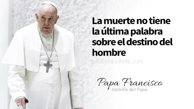evangelio de hoy jueves  noviembre  lecturas del dia reflexion con el papa francisco