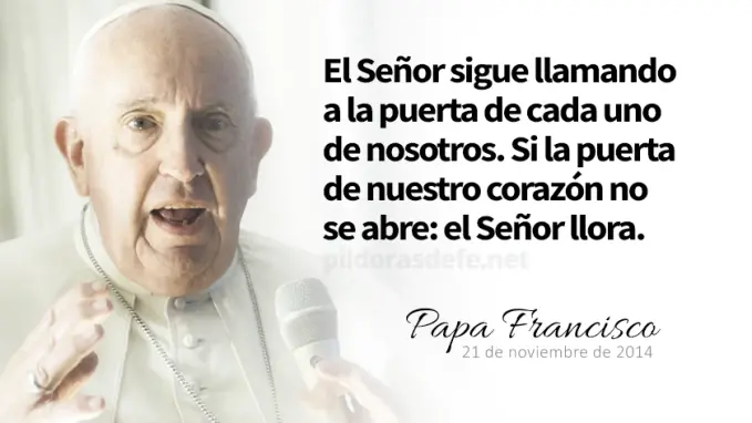 evangelio de hoy jueves  noviembre  lecturas del dia reflexion con el papa francisco