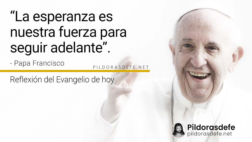 evangelio de hoy jueves  noviembre  lecturas reflexion papa francisco palabra diaria