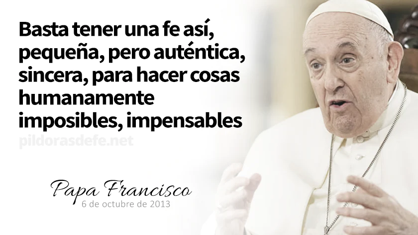 evangelio de hoy lunes noviembre lecturas del dia reflexion con el papa franciscowebp