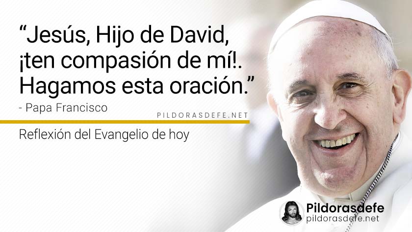 evangelio de hoy lunes  noviembre  lecturas reflexion papa francisco palabra diaria