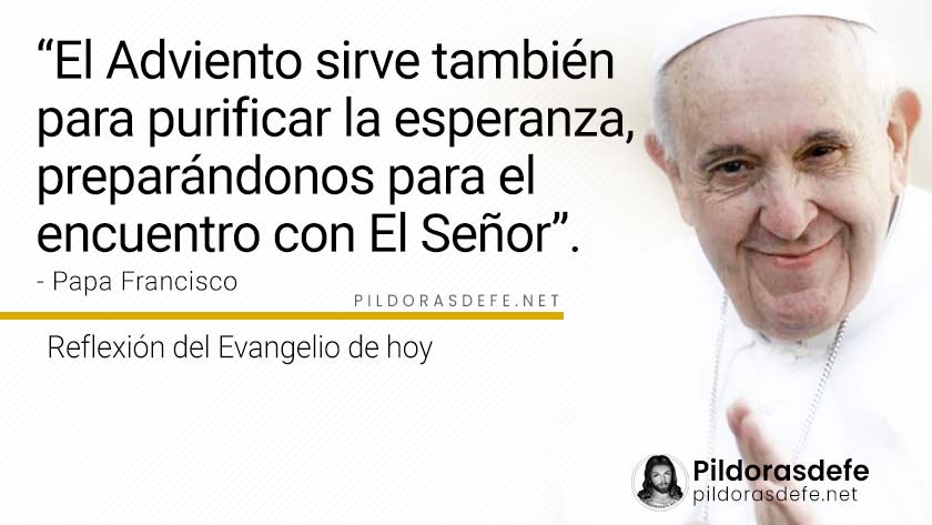 evangelio de hoy lunes noviembre lecturas reflexion papa francisco palabra diaria