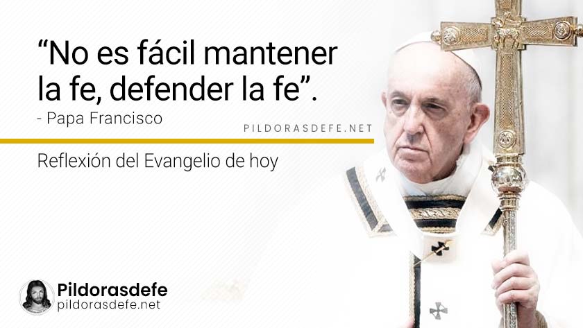 evangelio de hoy lunes  diciembre  lecturas reflexion papa francisco palabra diaria