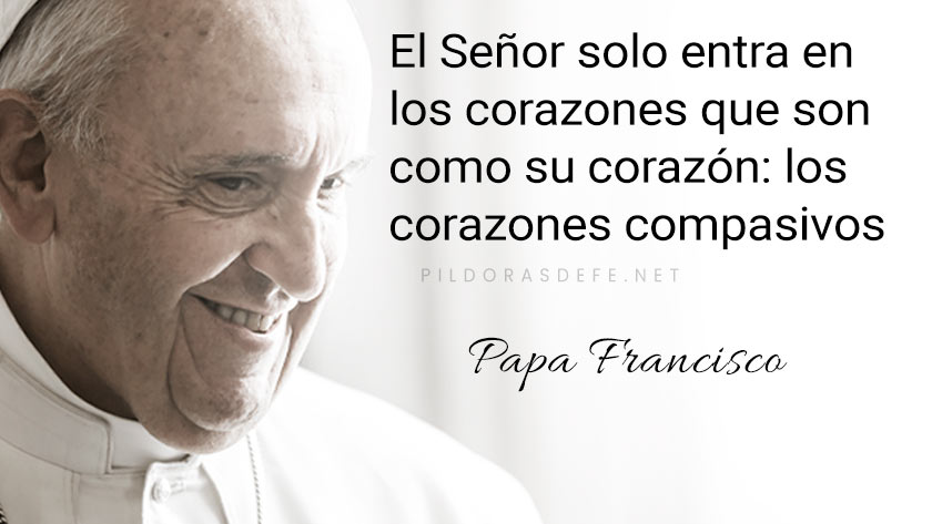 evangelio de hoy martes  febrero  lecturas del dia reflexion papa francisco