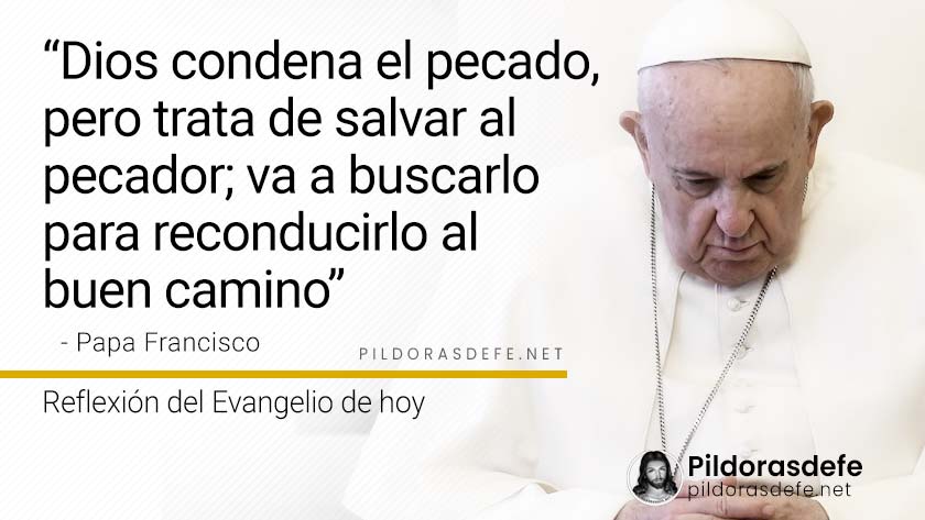 evangelio de hoy martes  noviembre  lecturas reflexion papa francisco palabra diaria