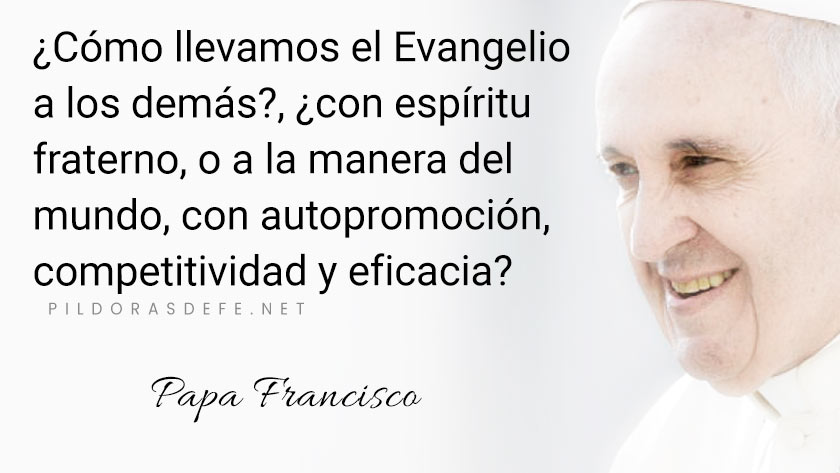 evangelio de hoy martes  octubre  lecturas del dia reflexion papa francisco palabra diaria