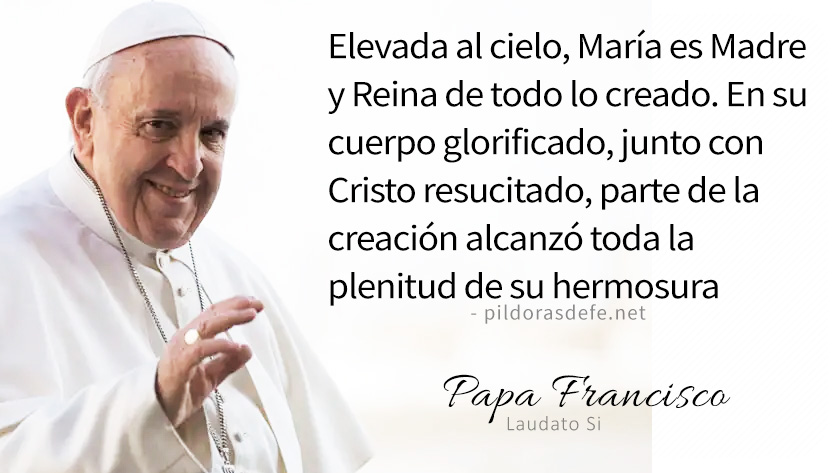 evangelio de hoy martes agosto lecturas del dia reflexion del papa francisco