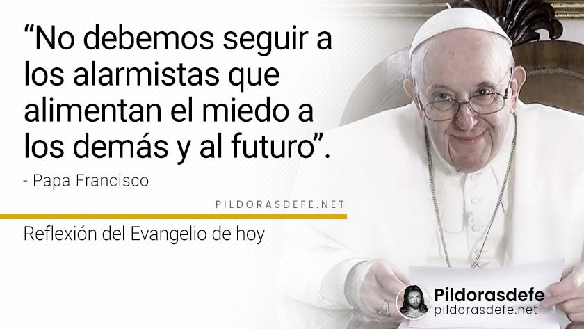 evangelio de hoy martes  noviembre  lecturas reflexion papa francisco palabra diaria