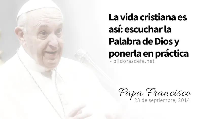 evangelio de hoy martes  septiembre  lecturas del dia reflexion del papa francisco