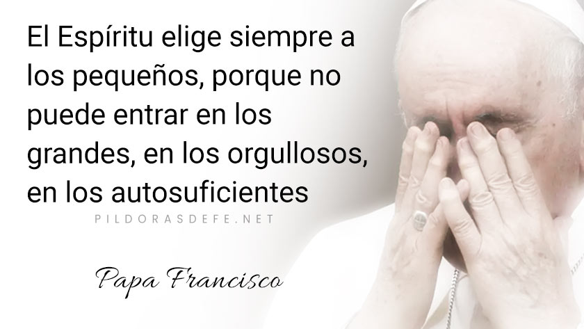 evangelio de hoy martes  noviembre  lecturas del dia reflexion papa francisco palabra diaria