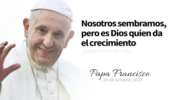 evangelio de hoy martes  octubre  lecturas del dia reflexion papa francisco