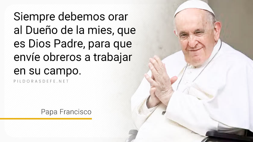 evangelio de hoy martes  julio  lecturas del dia reflexion papa francisco palabra diaria