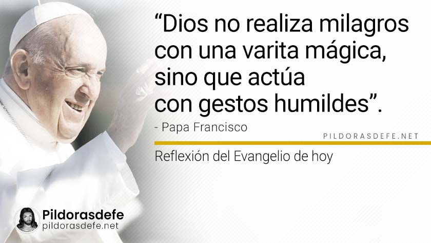 evangelio de hoy miercoles diciembre lecturas reflexion papa francisco palabra diaria