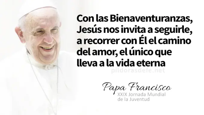 evangelio de hoy miercoles  noviembre  lecturas del dia reflexion con el papa francisco