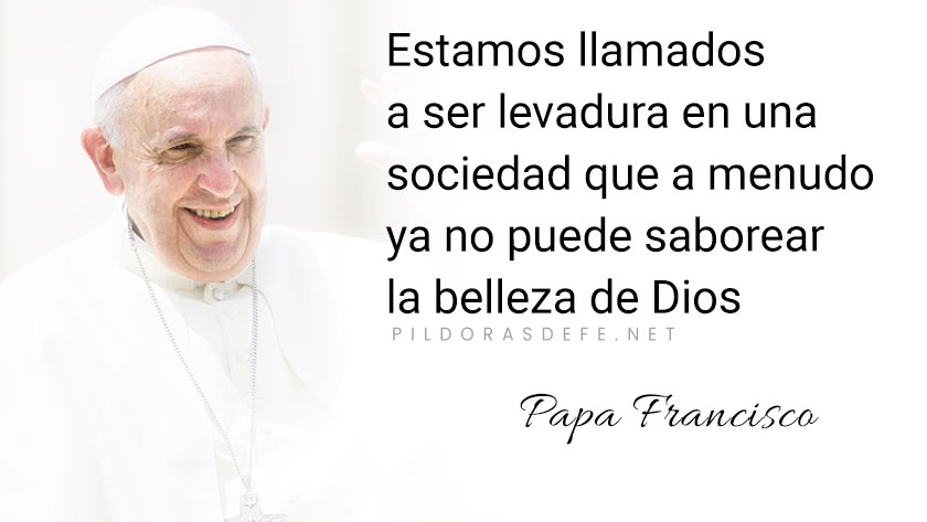 evangelio de hoy miercoles diciembre lecturas del dia reflexion papa francisco palabra diaria