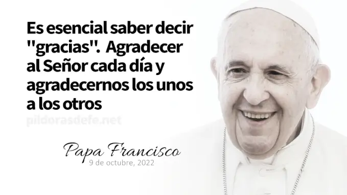 evangelio de hoy miercoles  noviembre  lecturas del dia reflexion con el papa francisco
