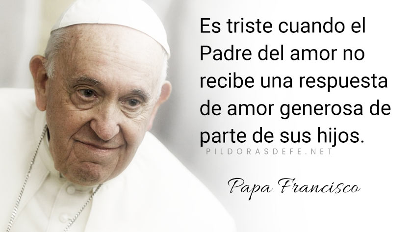 evangelio de hoy miercoles  noviembre  lecturas del dia reflexion papa francisco palabra diaria