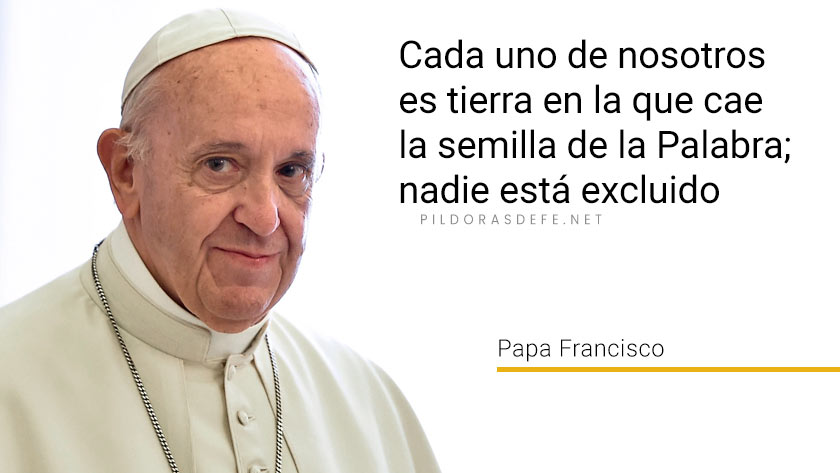 evangelio de hoy miercoles julio lecturas del dia reflexion papa francisco palabra diaria