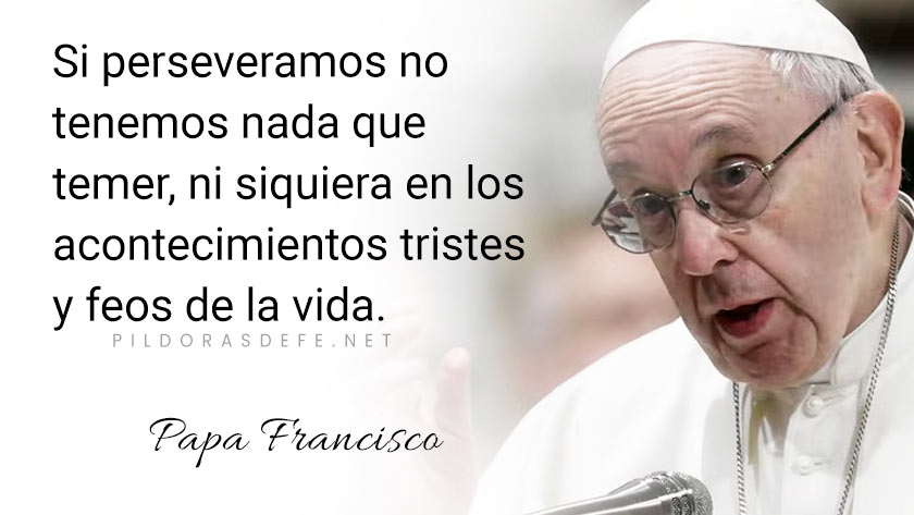 evangelio de hoy miercoles  noviembre  lecturas del dia reflexion papa francisco palabra diaria