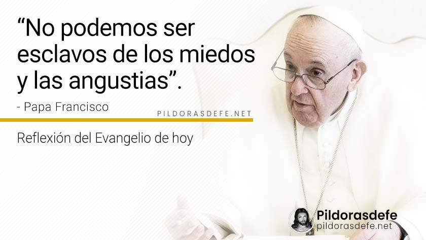 evangelio de hoy miercoles  noviembre  lecturas reflexion papa francisco palabra diaria