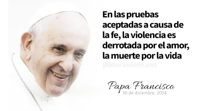 evangelio de hoy miercoles  noviembre  lecturas del dia reflexion con el papa francisco