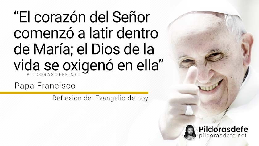 evangelio de hoy sabado  diciembre  lecturas reflexion papa francisco palabra diaria