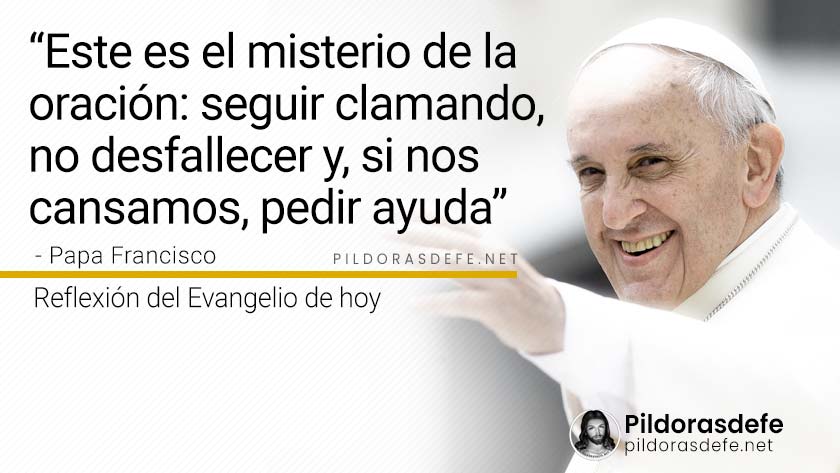 evangelio de hoy sabado  noviembre  lecturas reflexion papa francisco palabra diaria