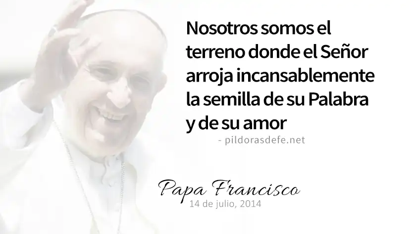 evangelio de hoy sabado  septiembre  lecturas del dia reflexion del papa francisco