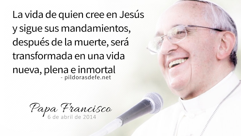 evangelio de hoy sabado  julio  lecturas del dia reflexion del papa francisco