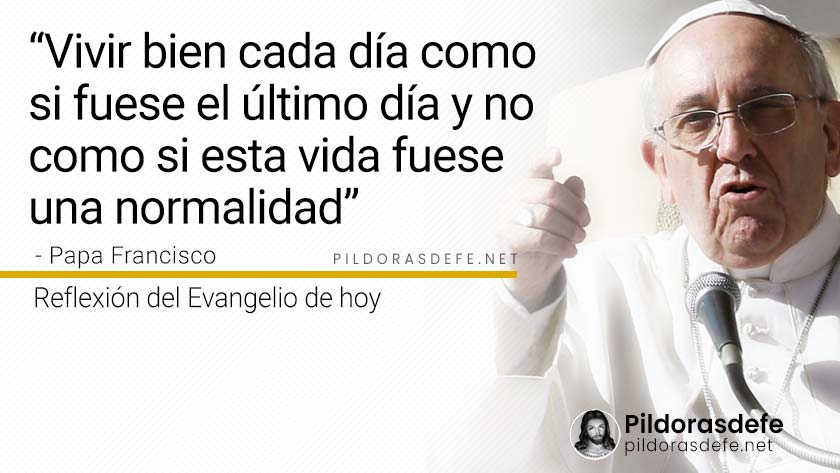 evangelio de hoy viernes  noviembre  lecturas reflexion papa francisco palabra diaria