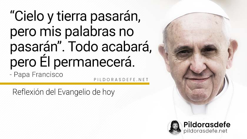 evangelio de hoy viernes noviembre lecturas reflexion papa francisco palabra diaria