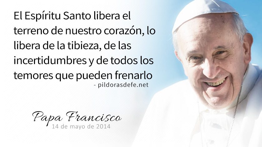 evangelio de hoy viernes  julio  lecturas del dia reflexion del papa francisco