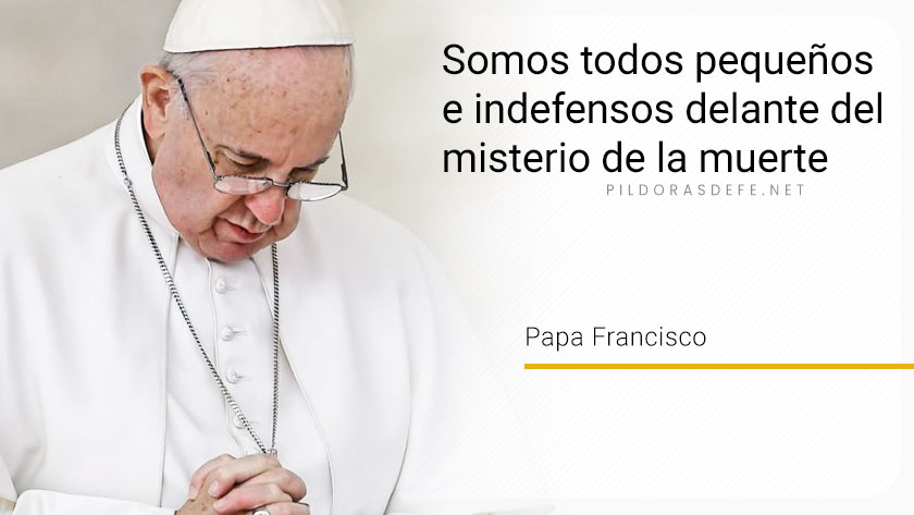 evangelio de hoy viernes  julio  lecturas del dia reflexion papa francisco palabra diaria
