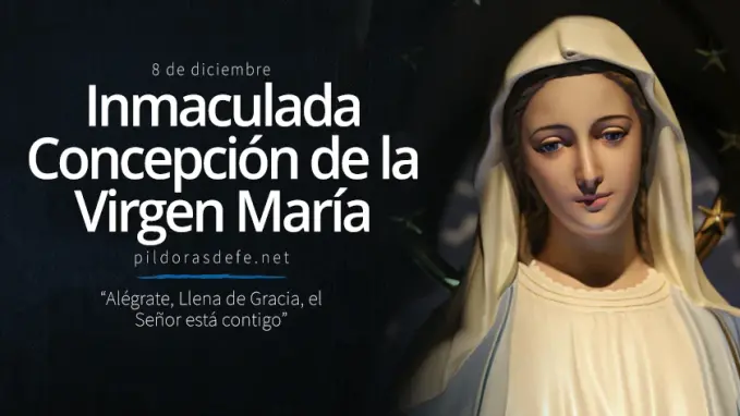 inmaculada concepcion de la santisima virgen maria solemnidad